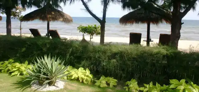 Cham Villas Resort - 16