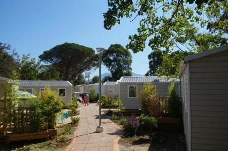Camping International - 41