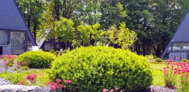 Zen Garden Resort, Zánka - 35