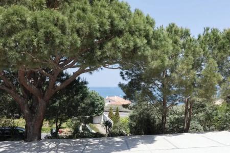 Grand Du Golfe - 29