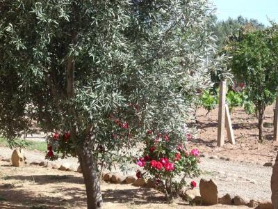 b&b Il Vigneto - 14