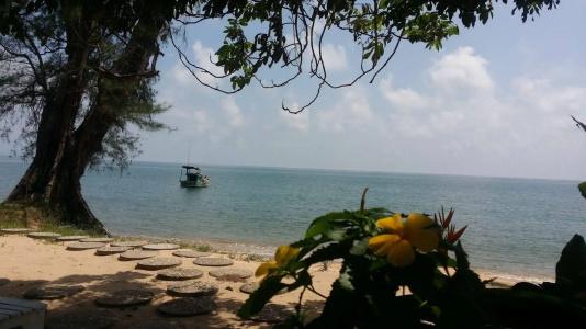 Wild Beach Phu Quoc Resort - 42