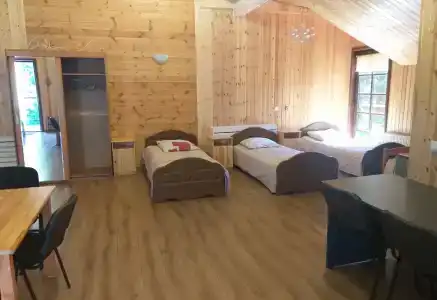 Зеленый бор - 2