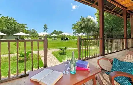 Temple Tree - 303