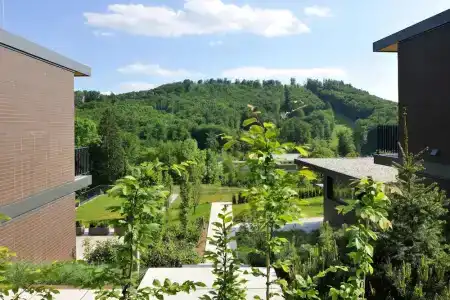 Oranda Village - 94