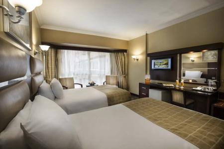Pyramisa Suites Cairo - 10
