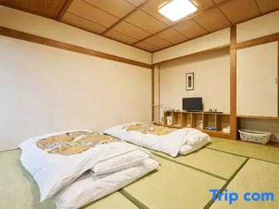 Fukui Castle - 29