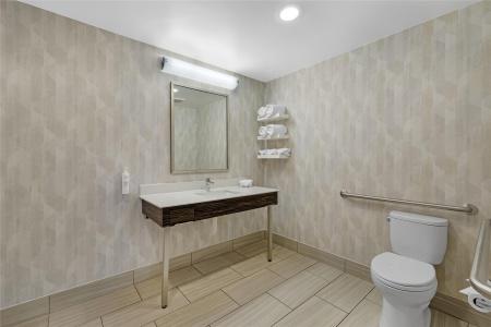 Hampton Inn & Suites - 60