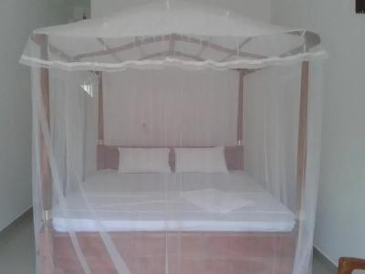 Mirissa Cocoon - 1