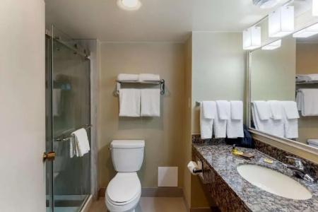 Best Western Plus Toronto Airport - 35