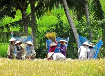Lodtunduh Sari - 17