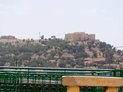 Riad Zitouna - 18