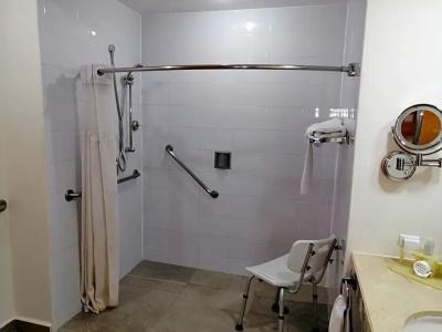 Holiday Inn Express Mexico Reforma - 43