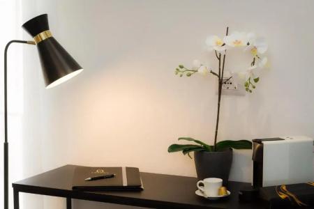 Suite della Pigna - 41