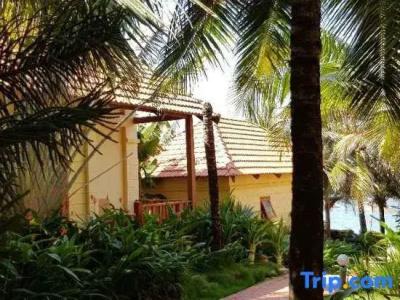 Free Beach Resort - 29