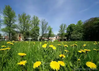 Tri- Wellnessam Schweizer Wald - 26