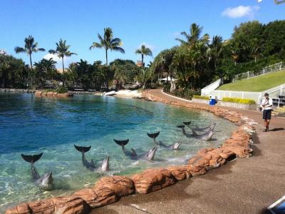 Sea World - 6