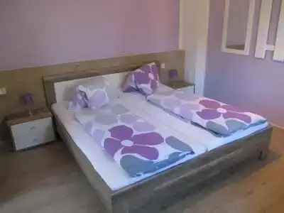 Pension Waldesruh - 1