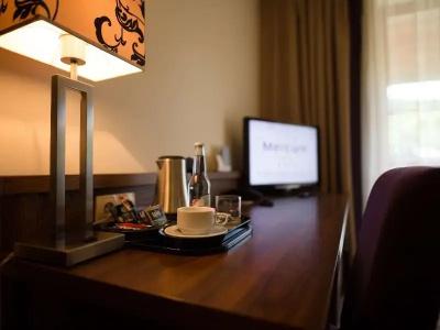 Mercure Krynica Zdrój Resort&Spa - 37