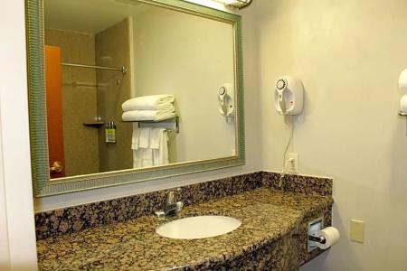 Holiday Inn Express & Suites Tucson Mall, An Ihg - 73