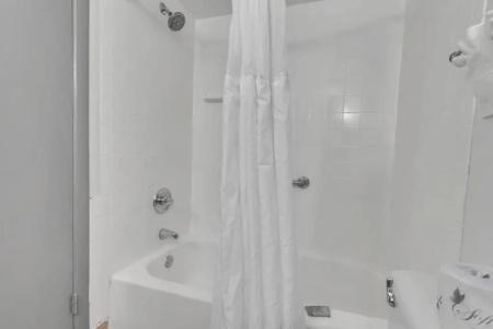 Best Western Orlando Gateway - 47
