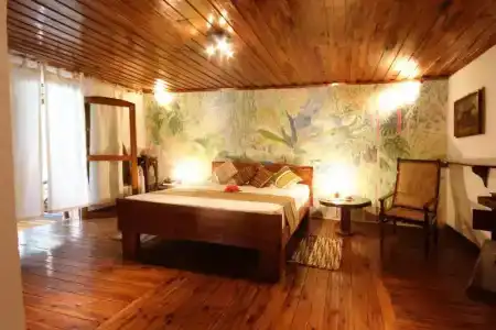 Chauve Souris Relais - 23