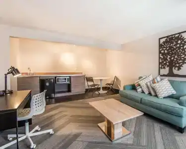 Quality Inn & Suites By the Parks - 23
