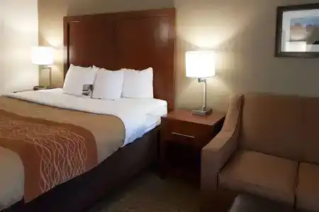 Comfort Inn I-10 West at 51st Ave - 5