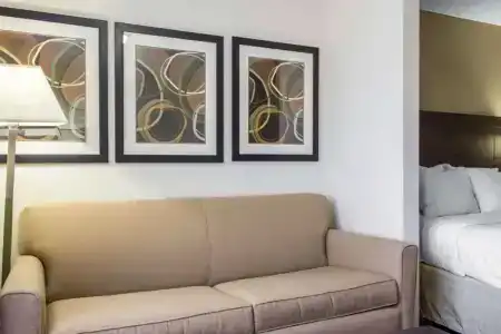 Comfort Suites at Tucson Mall - 49