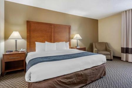 Comfort Inn South - 30