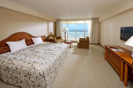 Rizzan Sea Park Tancha Bay - 6