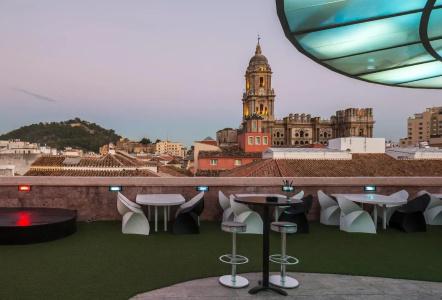 Room Mate Larios - 45