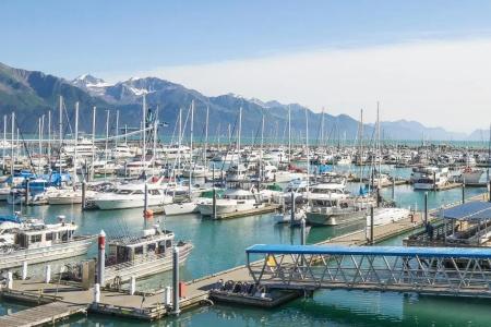 Harbor 360 - 14