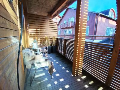 Levi Suites Levi Gold - 177