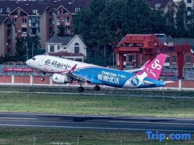 Southern Airlines Pearl - 43