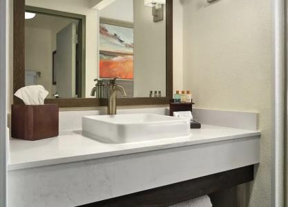 Buena Vista Suites Orlando - 42