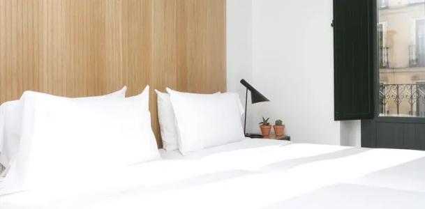 Sleep'n Atocha - b Corp Certified - 64