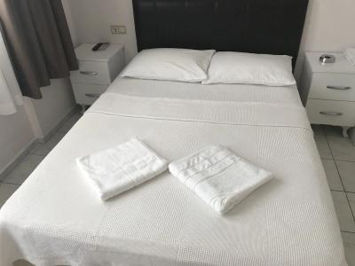 Cam - 24
