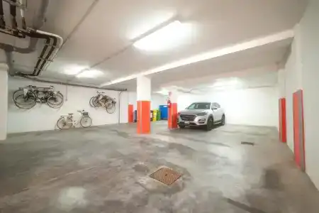 Il Cortile delle Esperidi - 11