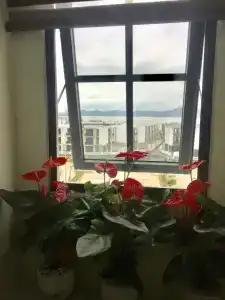 May House - 35