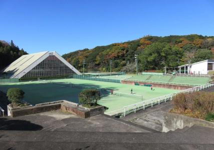 Tsumagoi Resort Sai no Sato - 8