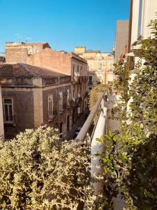 b&b Stramondo - 19