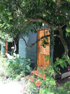 Olympos Yakamoz Pansiyon - 14