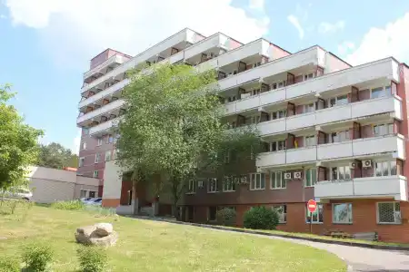 Пралеска - 0