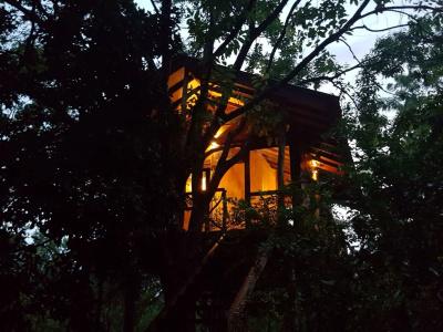 Eighth Wonder Resort - 0