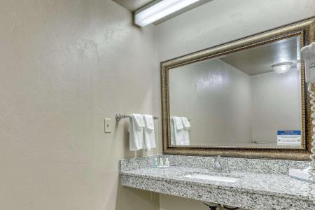 Quality Inn & Suites Downtown - 8