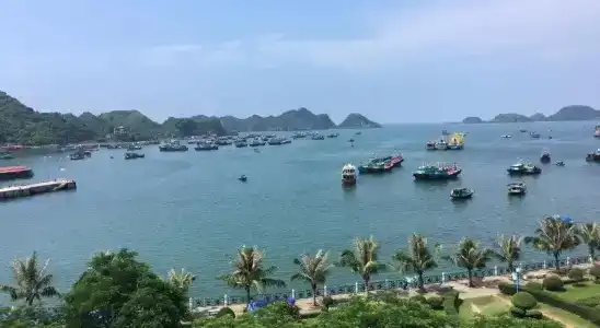 Thaí Baỏ - 7