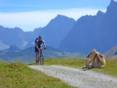 Alpenhof Krün - 3