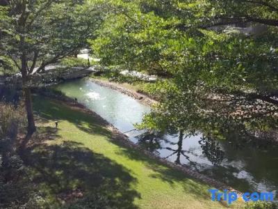 Thames Valley Khao Yai - Sha Plus - 103