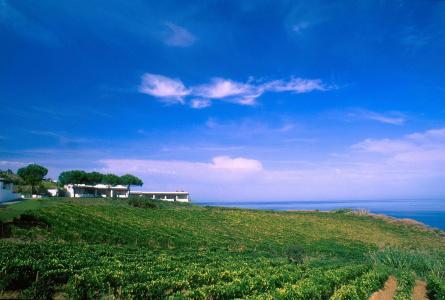 Capofaro Locanda & Malvasia - 9